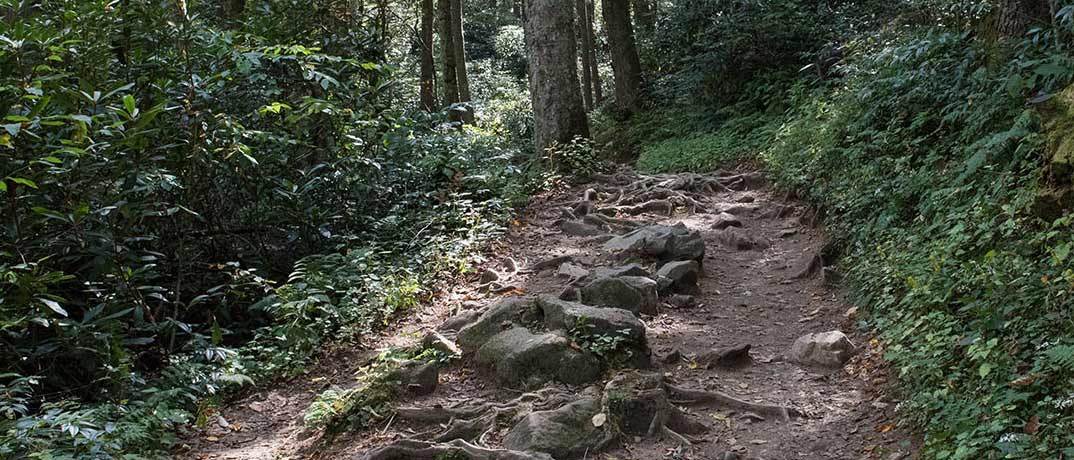 Hiking in the Smokies for Free