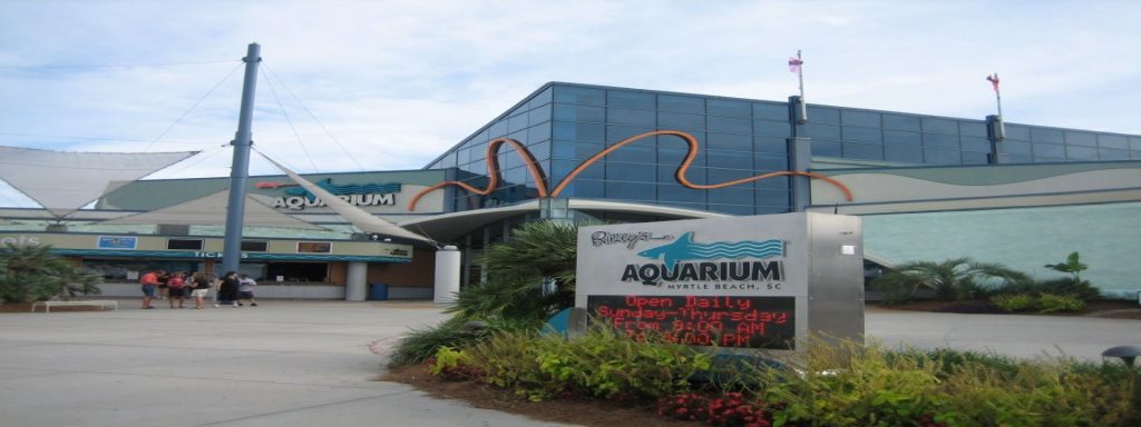 Ripleys Aquarium Myrtle Beach