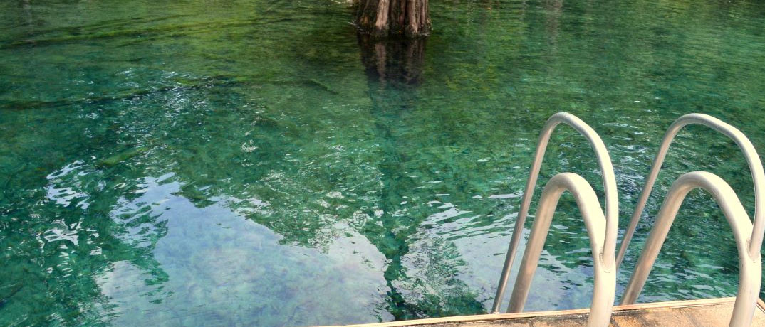 Dock at Morrison Springs