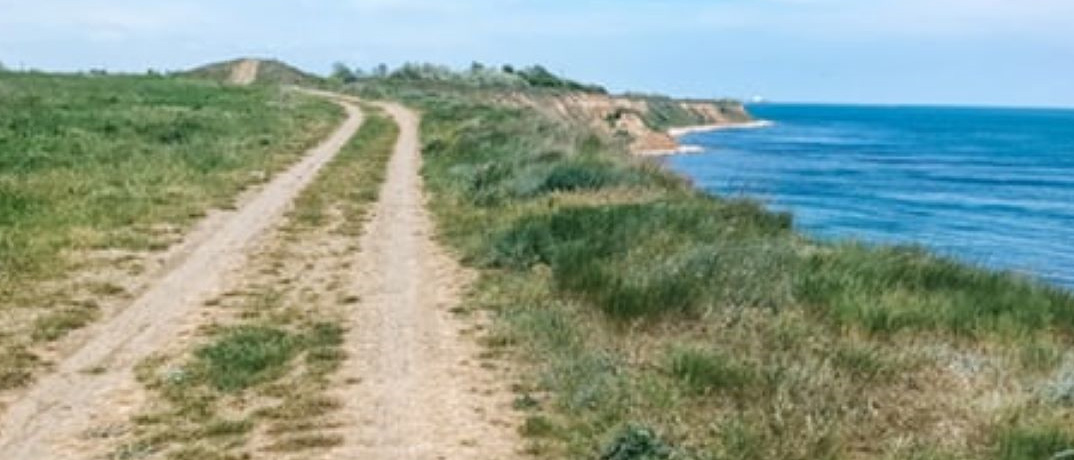 Ecotour by the Beach