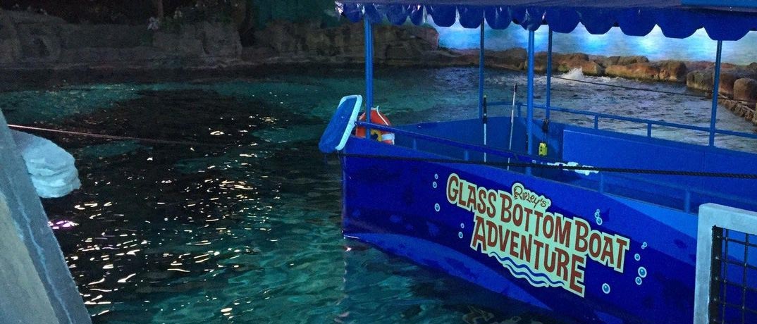 Glass Bottom Boat Adventure