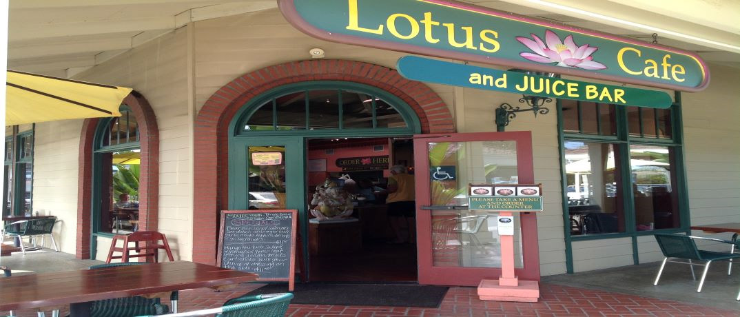 Lotus Vegetarian Restaurant