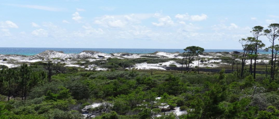 Top Sail Hill Preserve 30A