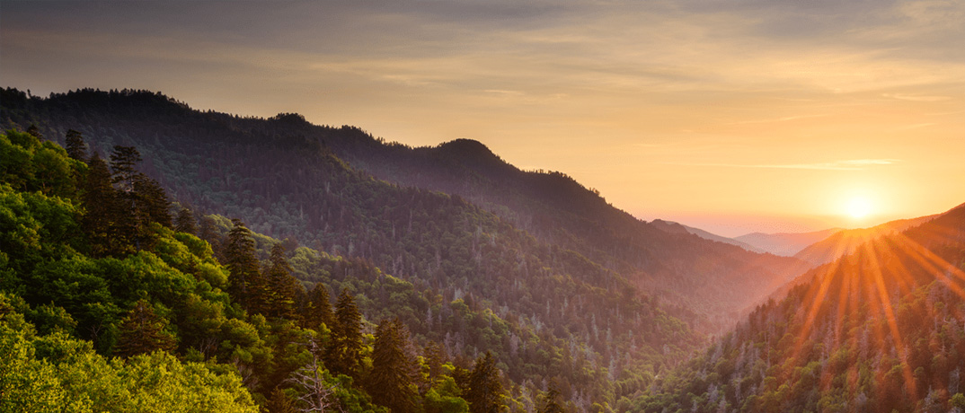 The Appalachian Trail