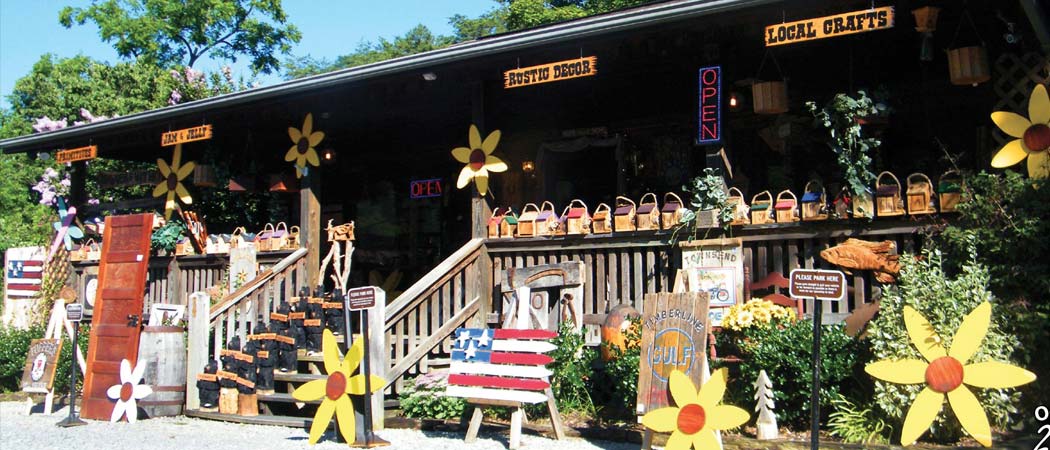 Aunt Debbie's Country Store