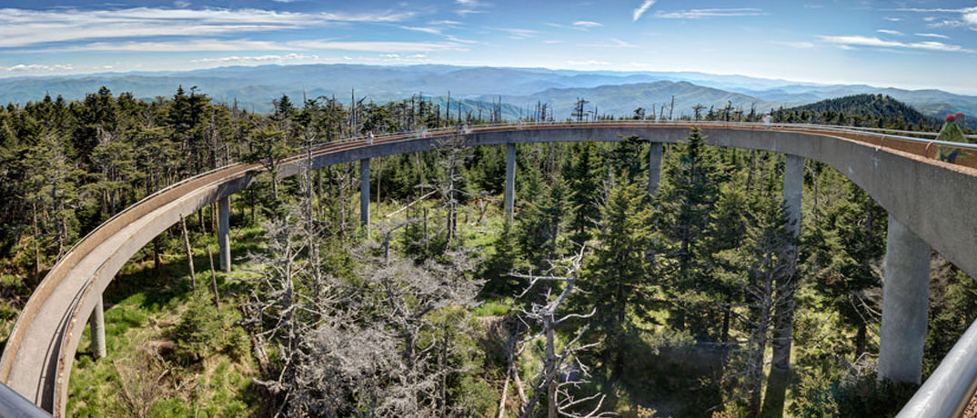 Clingmans Dome