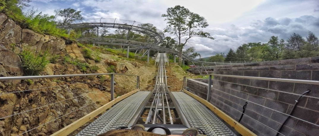 Rowdy Bear Coaster