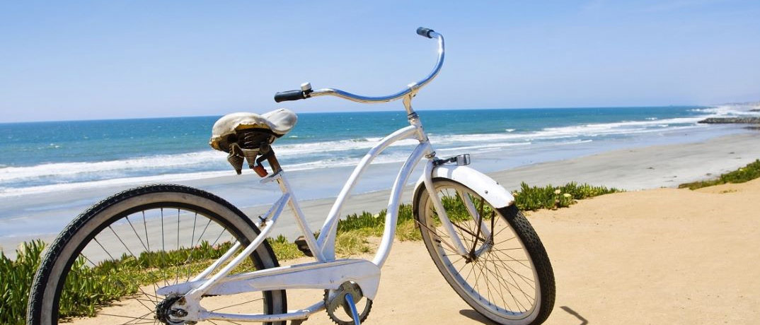 Bike Rentals PCB