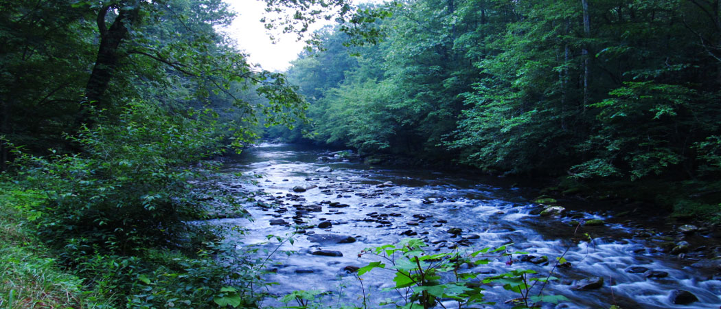 Cucumber Gap Loop