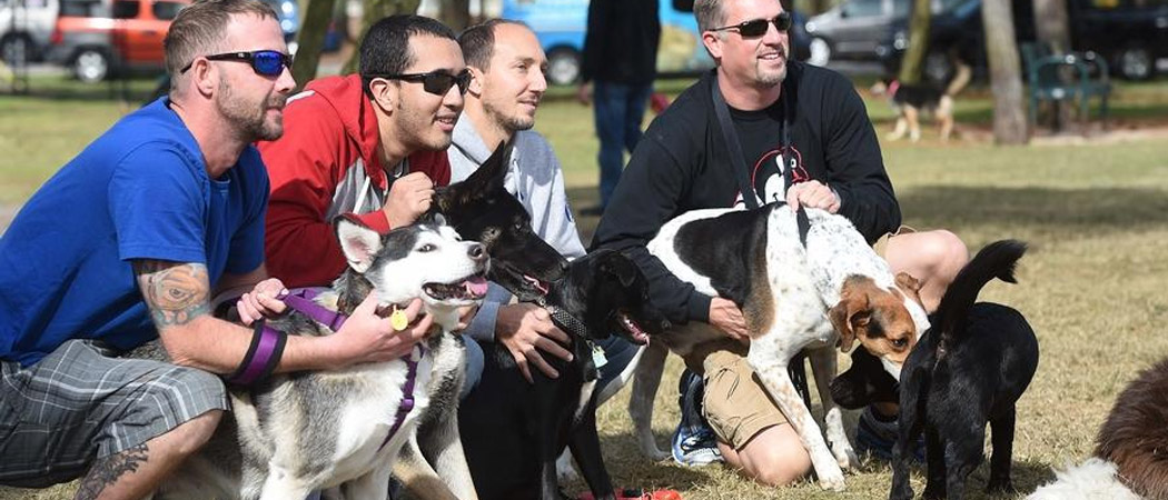 Destin 5K Dog Run