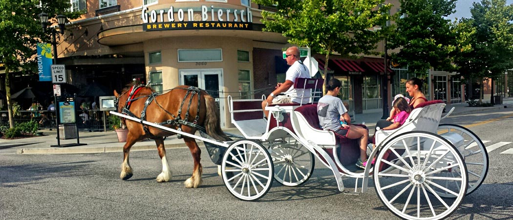 Carriage Ride in Market Common