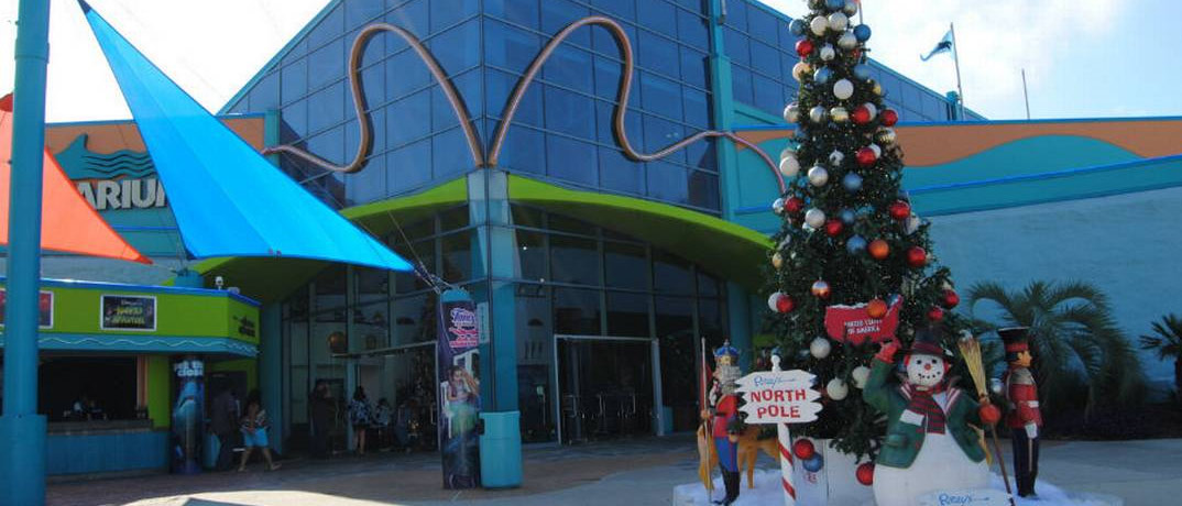 things to do in myrtle beach for christmas