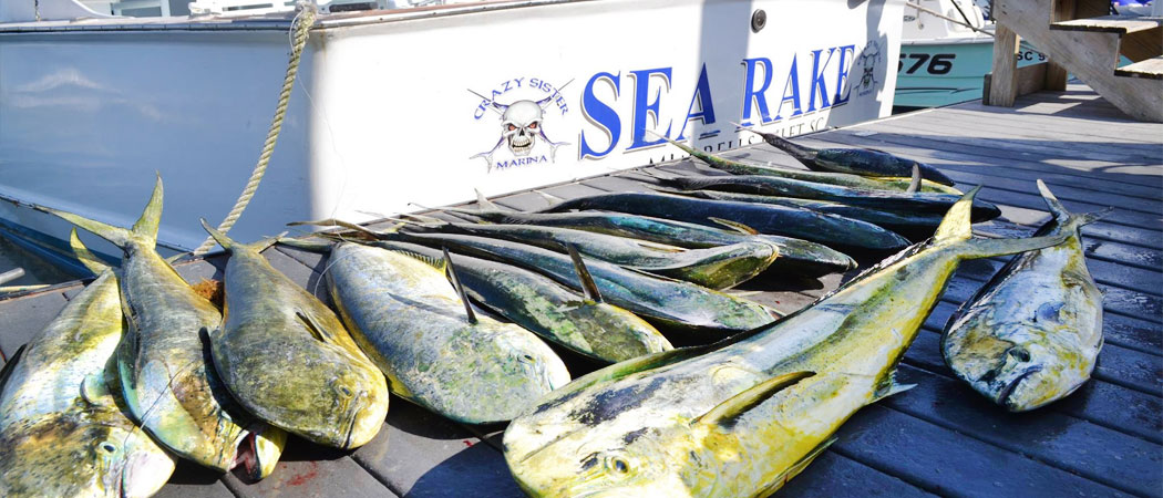 Murrells Inlet MarshWalk Fishing