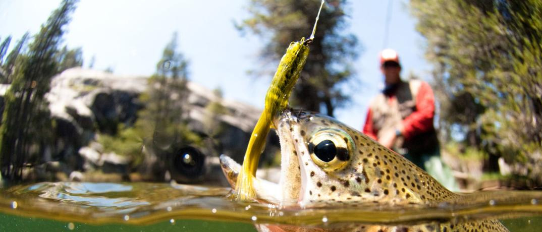 Fishing in the Great Smoky Mountains - Fly Fishing & Trout Fishing