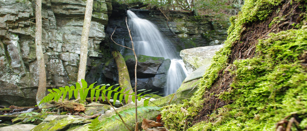 Baskins Creek Falls In Gatlinburg