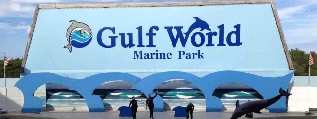 gulf-world-marine-park-main