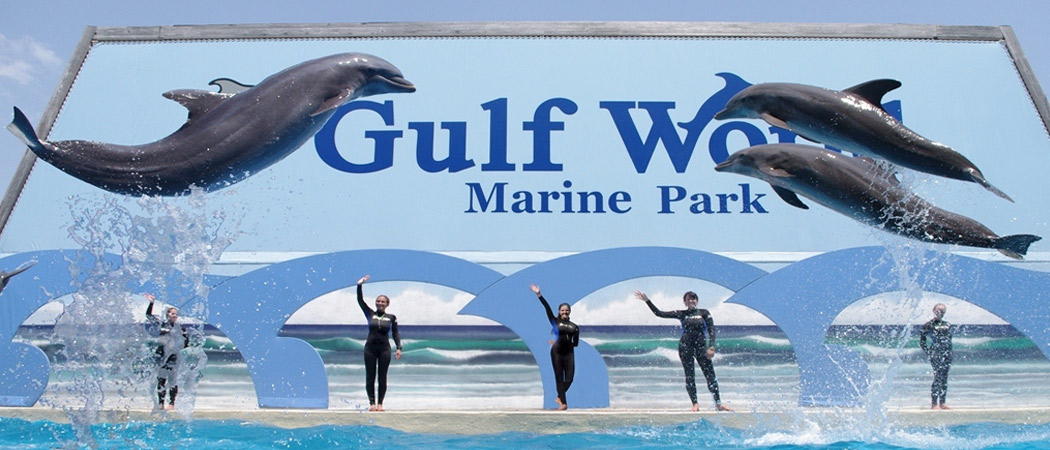 Gulf World Marine Park