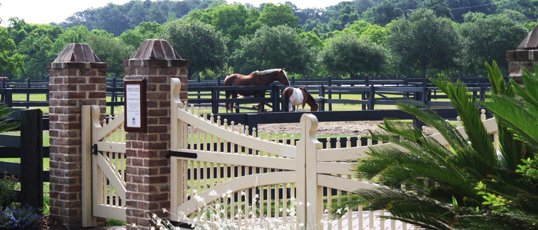 Horse Ride Stables