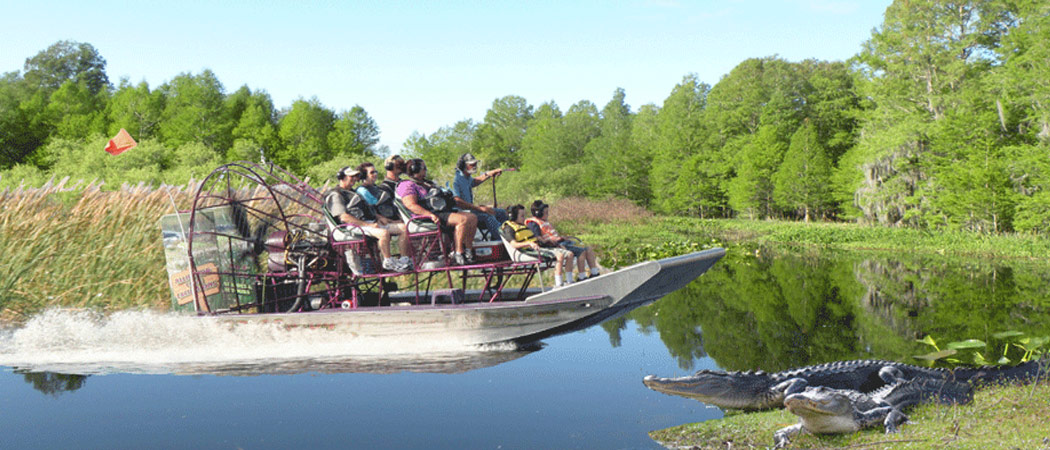 Kissimmee Swamp Tours