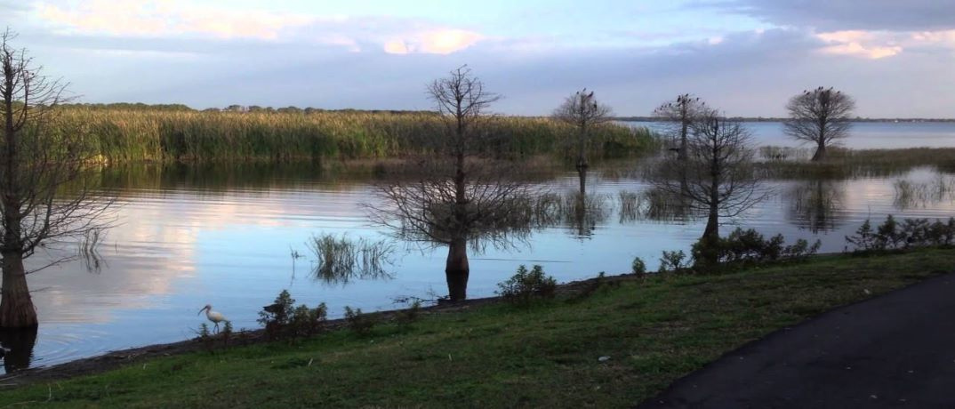 Lake Parker Orlando