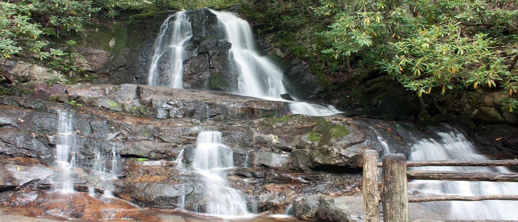 Laurel Falls