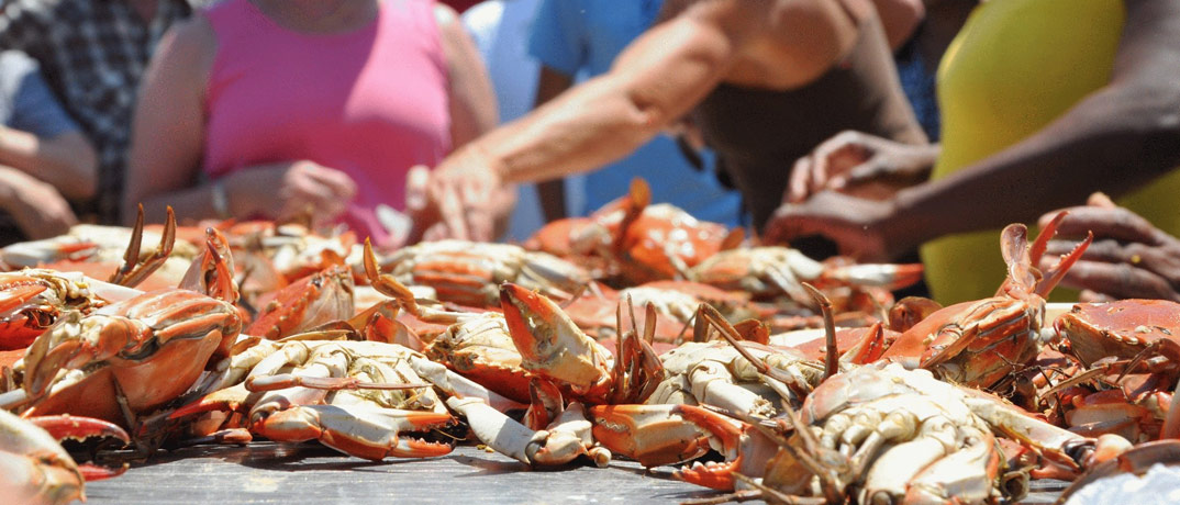 Little River Blue Crab Festival