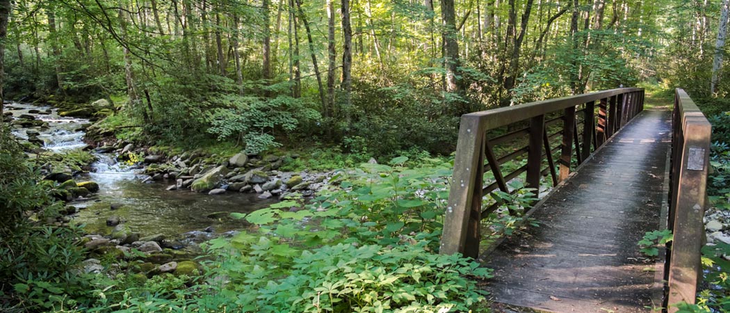 Little River Trail