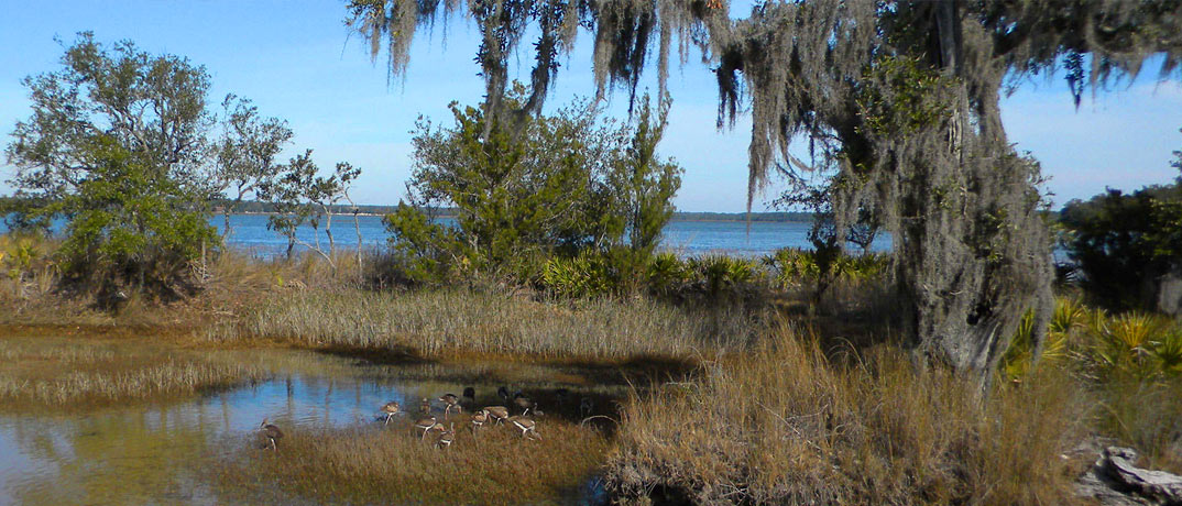 May River Fishing Pier