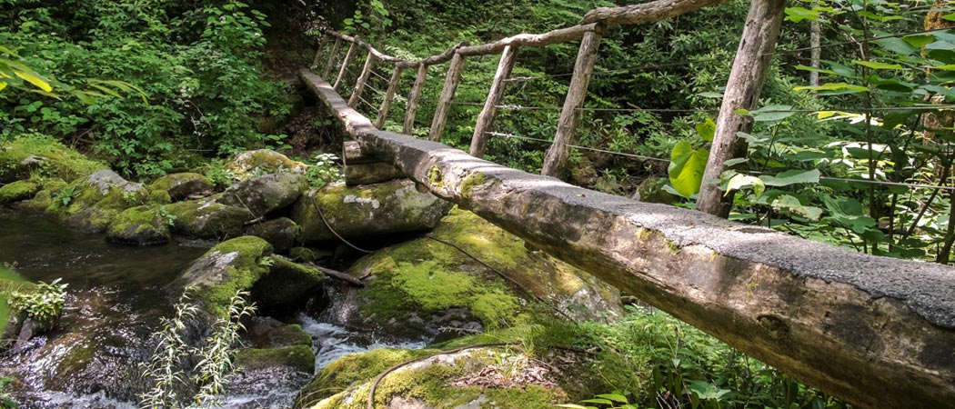 The Meigs Creek Trail