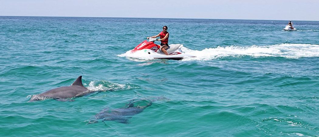 Little River Jet Ski Rentals & Jet Ski Dolphin Watch in Myrtle