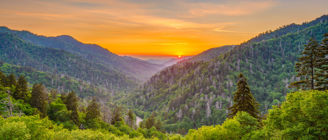 Newfound Gap