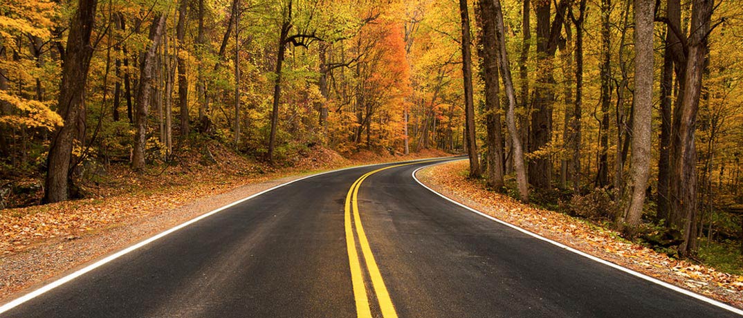 Newfound Gap Road