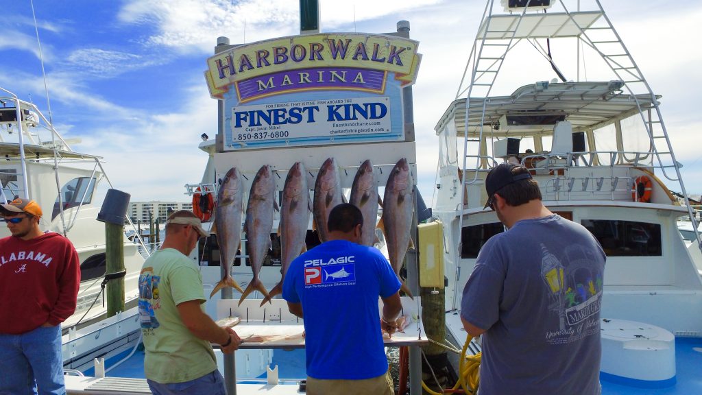 Party Boat Fishing