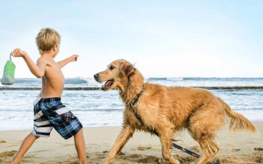 Pet Friendly Places in Myrtle Beach