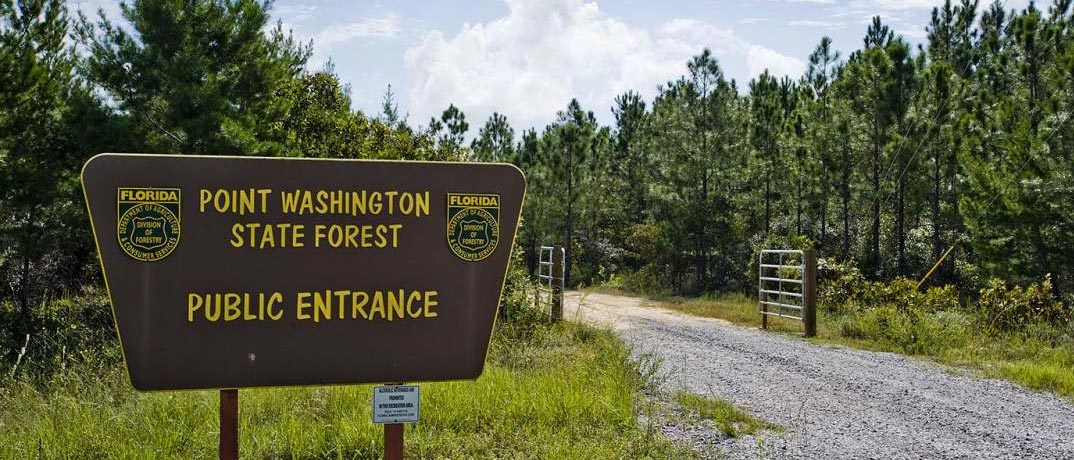 pointwashingtonstateforest