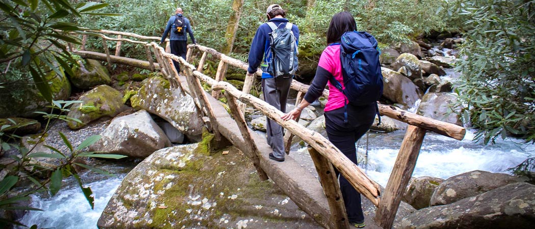 Porters Creek Trail