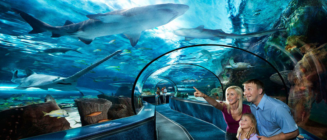 Ripley's Aquarium