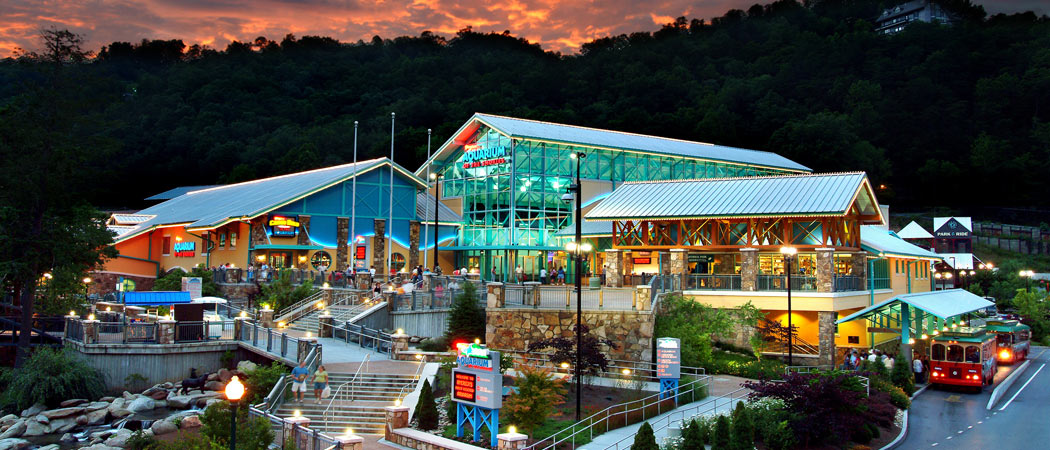 Ripley's Aquarium In Gatlinburg