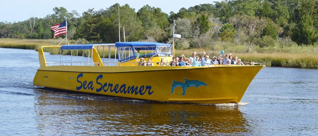 Sea Screamer Dolphin Cruise