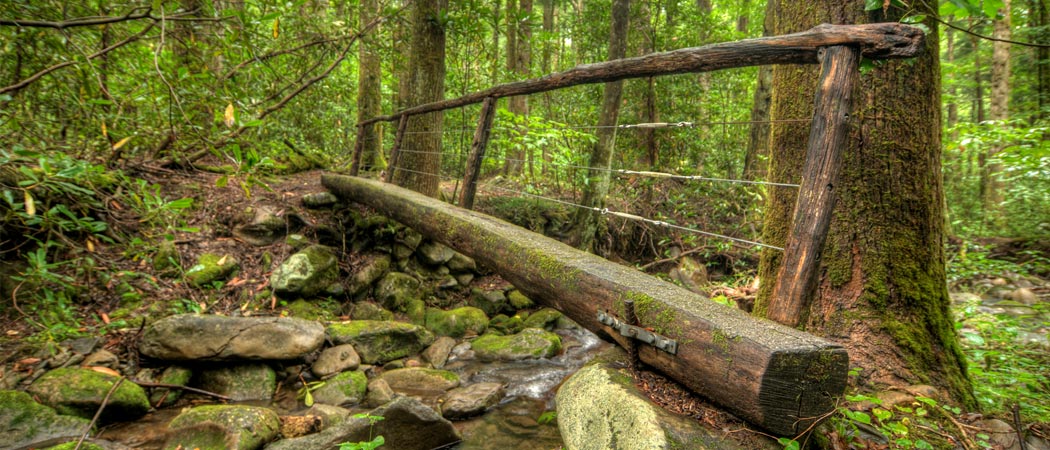 The Gatlinburg Trail