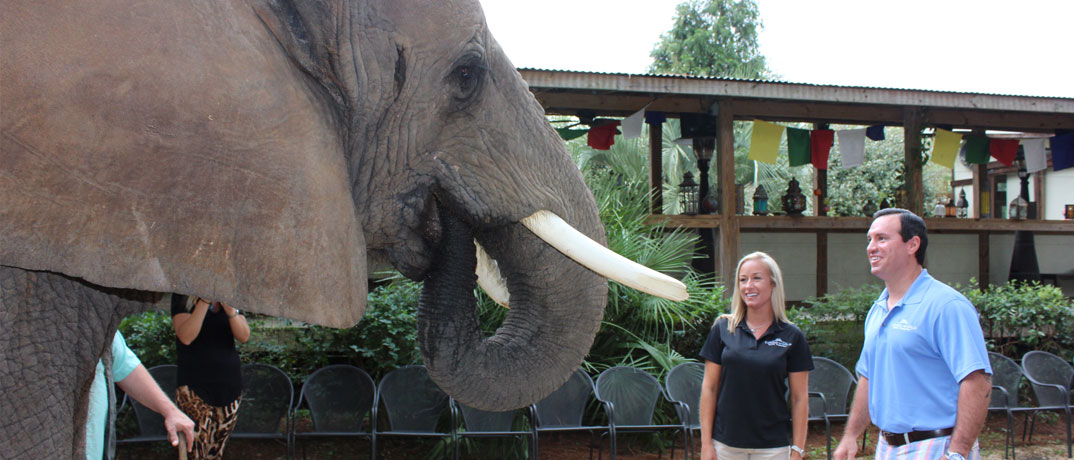 Bubbles the Elephant in Myrtle Beach