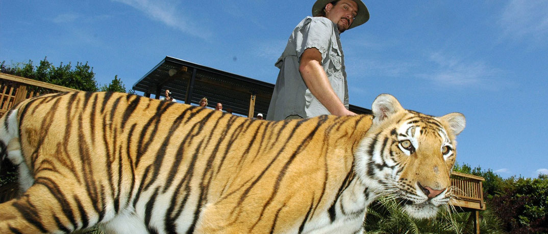 Tigers Preserve Myrtle Beach