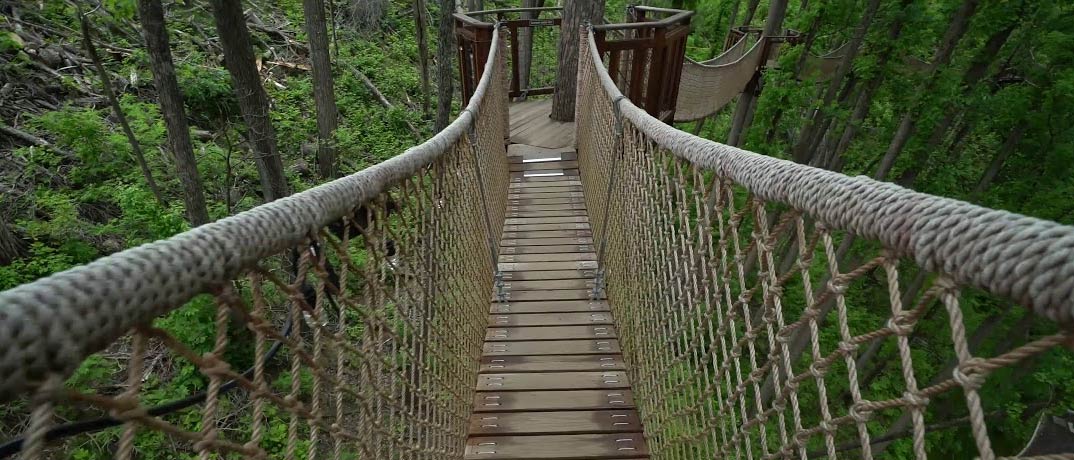 The Treetop Skywalk & Treehouse Village Adventure