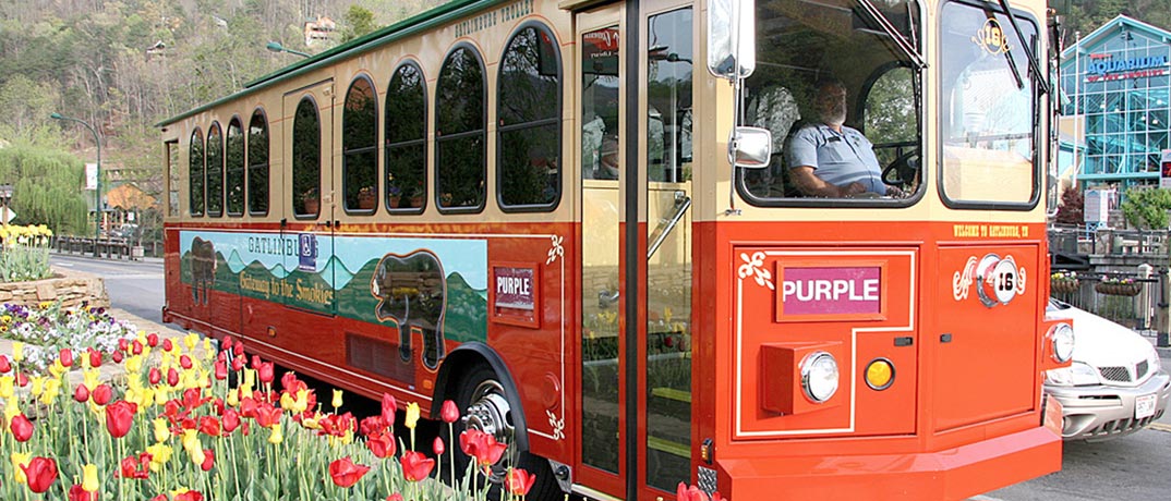 largest mass transit in Tennessee and has 20 trolleys that service about 50...