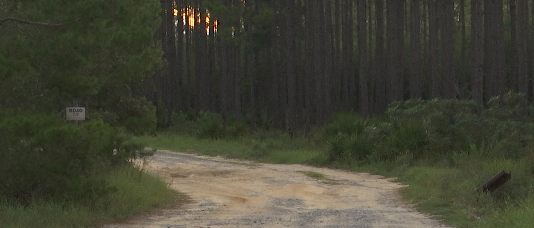 Hiking And Biking Trails in Fort Walton